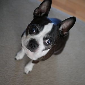 Meet your Posher, Wayne